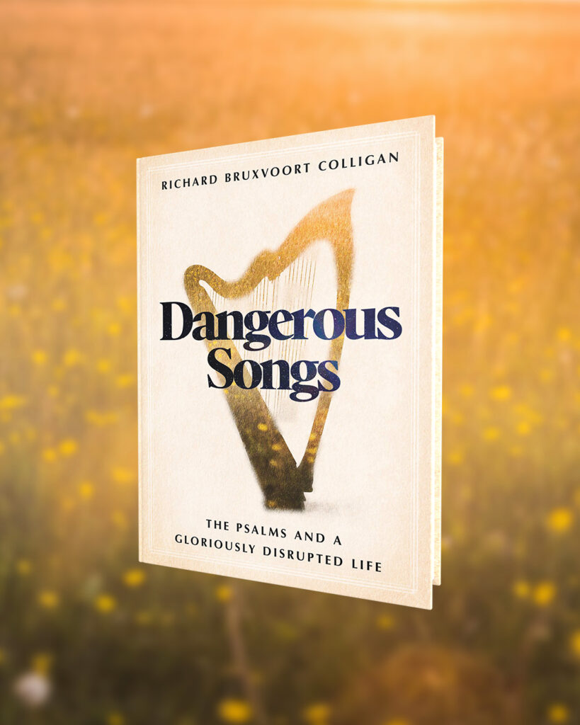 Book cover titled Dangerous Songs by Richard Bruxvoort Colligan, shown floating in a sunlit field of yellow flowers.